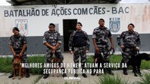 'Melhores amigos do homem' atuam a serviço da segurança pública no Pará