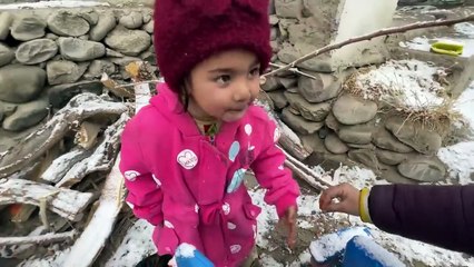 First Snowfall in My Village ️