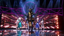 THE MASKED SINGER: The Bee Performs 