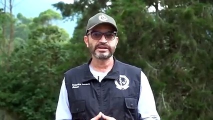 27-02-2021 Decano sobre Yegua