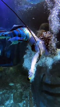 Belles sœurs sirènes ‍♀️