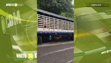 Reportan trancón de más de 16 horas en Puerto Valdivia