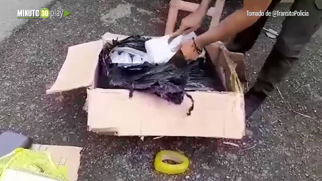Cayó la encomienda Incautaron 23 kilogramos de bareta en la vía La Pintada Medellín