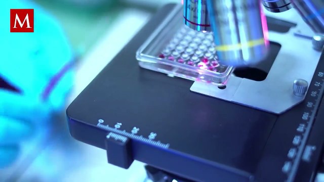 Cientificos de Ámsterdam logran eliminar el VIH de células infectadas