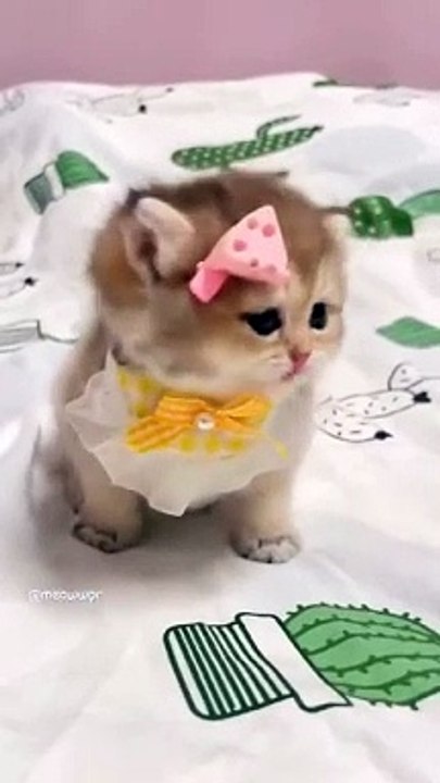 So cute
