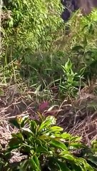 Creciente subita en Sonson