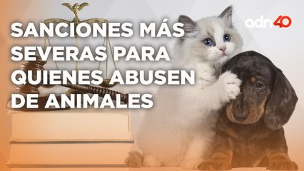 Elena Larrea fue la principal impulsora para las reformas a la ley de bienestar animal