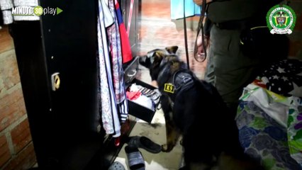 CAPTURAS EN EL SANTUARIO