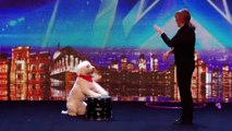 BGT DAZZLING DOGS! | Britain's Got Talent