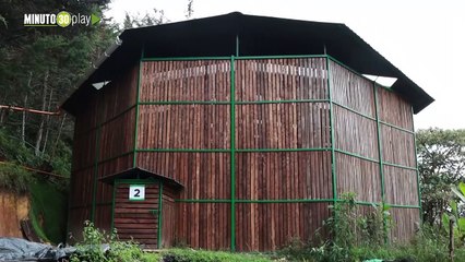 Antioquia tiene un hábitat para aves rapaces