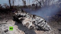 Desoladoras imágenes que dejan a su paso los incendios en la Amazonía brasileña