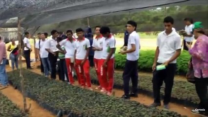 Se deben tomar decisiones rapidas sobre el futuro de RIA