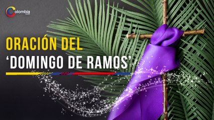 Descargar video: Domingo de Ramos: oración para iniciar la Semana Santa y bendecir las palmas