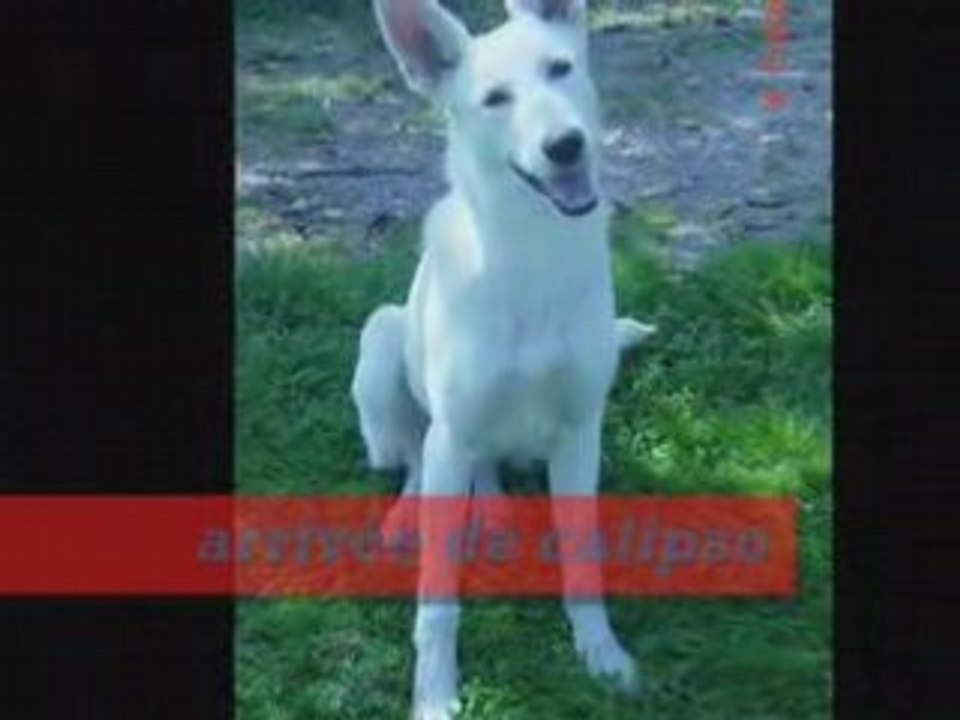 Cali et criska leur debut