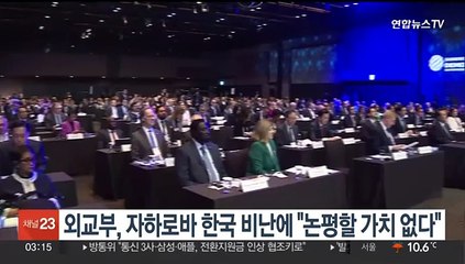 외교부, 러 외무부 대변인 한국 비난에 "논평할 가치 없다"