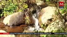El Río Magdalena de CdMx convertido en canal de desagüe, puede recuperarse | Milenio Hábitat