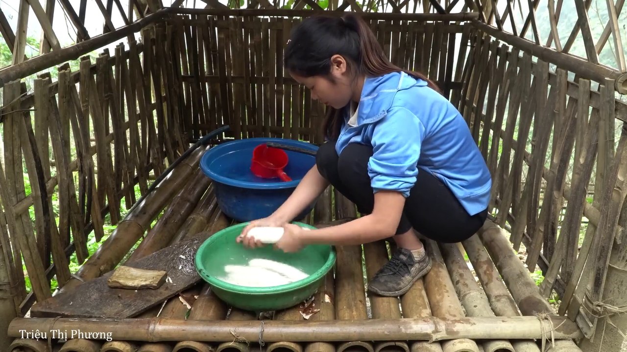 Cô Gái Một Mình Lủi Thủi Kiếm Ăn Nơi Rừng Núi