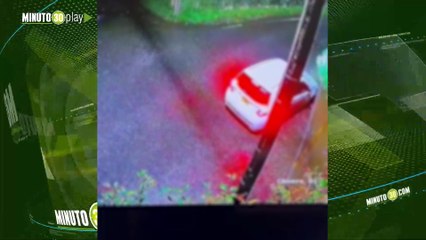 Un desalmado abandonó a unos cachorritos en Rionegro y quedó grabado