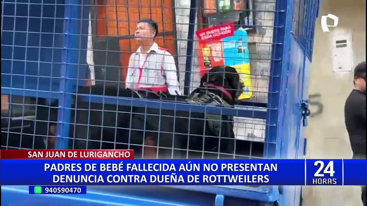 Rottweilers matan a bebé en SJL: dueña de canes podría enfrentar condena de 4 años de prisión