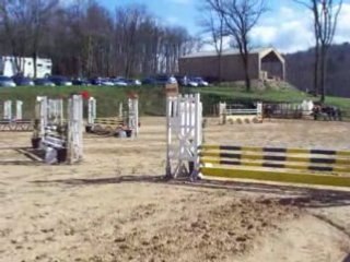 CONCOURS RAZES DU 06/04/08