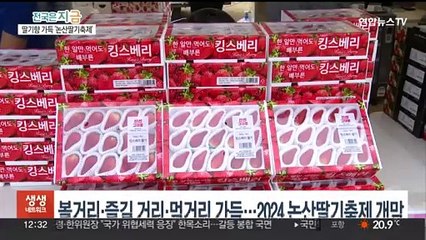 한 단계 업그레이드됐다…2024 논산딸기축제 성황