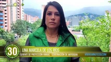 autoridades rechazan maltrato animal