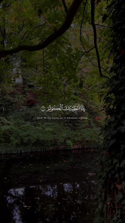 quran recitation really beautiful amazing crying reaction