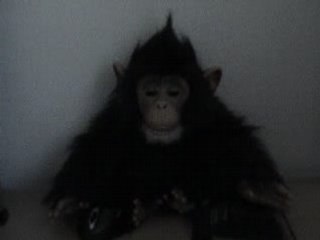 AFS Chita Affiche Sa Plus Belle Coupe ✂️