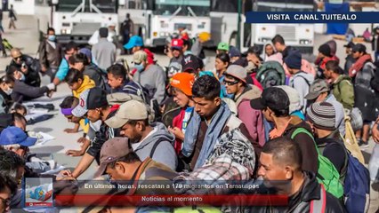 Download Video: Rescatan a 179 migrantes en Tamaulipas