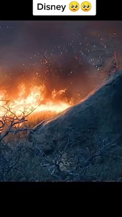 Movie Clip