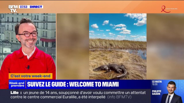 Découvrez Miami entre ses plages, ses différents quartiers d'artistes, d'affaires ou encore les Everglades
