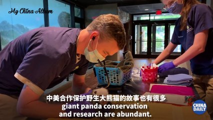 Giant pandas_ More than a symbol of China-US friendship - Chinadaily.com.cn