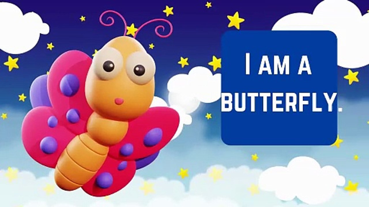 Kindergarten Animals name learning for kids - Animals learning for kindergarten - Animals for babies