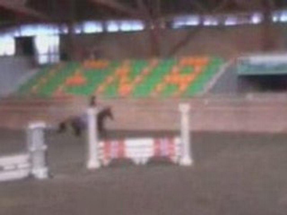 Avenches INEA - 6 avril 08 - Parcours 60-80cm