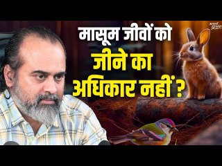 ये कैसा लोकतंत्र है, जहाँ मासूम जीवों को जीने का अधिकार नहीं? || आचार्य प्रशांत (2023)