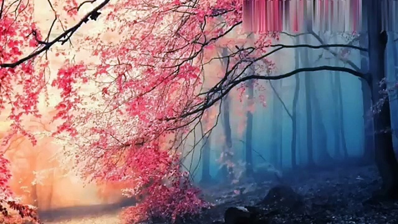 كلام مؤثر عن حسن الظن بالله الشيخ خالد الراشد