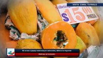 EU acusa a papaya mexicana por salmonela y México le responde
