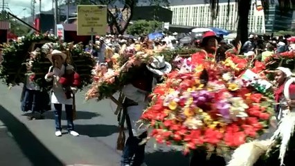 31-07-17-medellin-lanmenta-la-perdida-de-dos-silleteros-a-manos-de-delincuentes