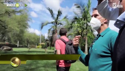 Alexandre Guimaraes está feliz en Cali, pero espera traerse el botín de allá