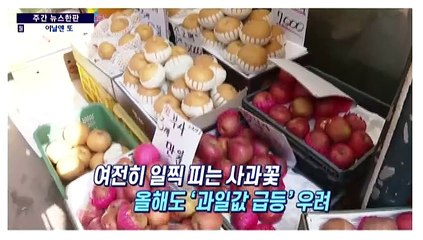 [주간 뉴스한판 3월 3주] 역사상 첫 MLB 서울 개막전 '박찬호·류현진' 총출동