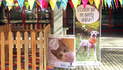 NOTA 4 Centro de Atención Animal La Perla recibió visita sorpresa de concejales para promover la adopción en Medellín
