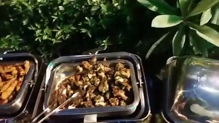 sher Afzal Marwat khan pti suppoter