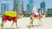 #Top11 cosas raras que solo pasan en Dubái
