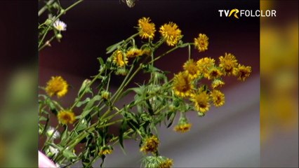 Maria Cornescu - La hanul de la Sinesti (arhiva TVR)