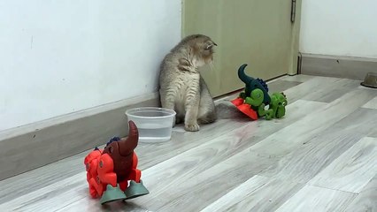funny and cute cats reaction dinosaurs
