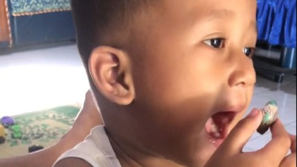 Clueless kid learns the meaning of 'instant regret' after snail shows no mercy