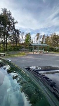 Rencontre d'ours à l'aire de repos du nord de l'Ontario