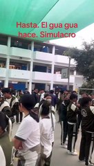 Perrito participa de simulacro en colegio