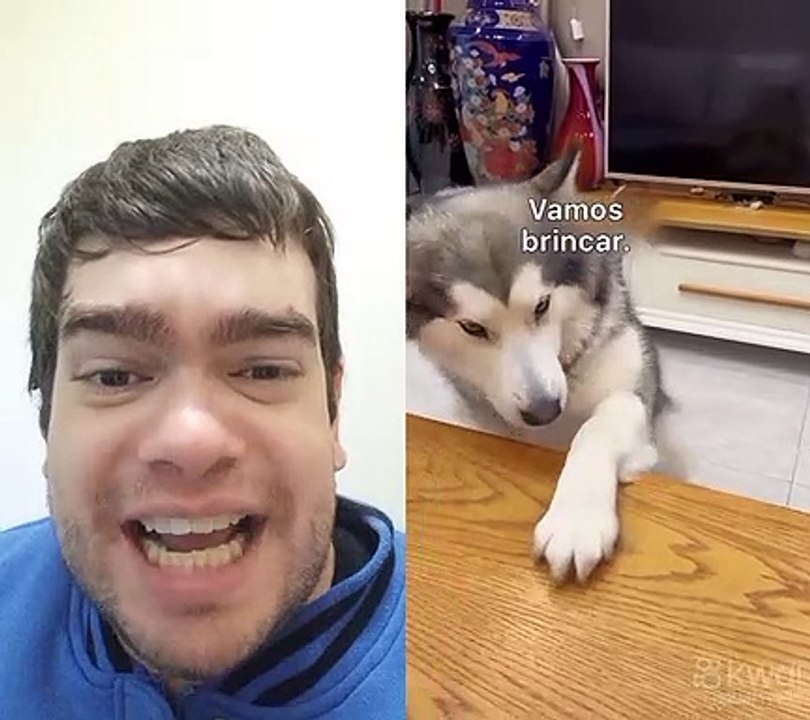 Cachorro  ligeiro  kkk
