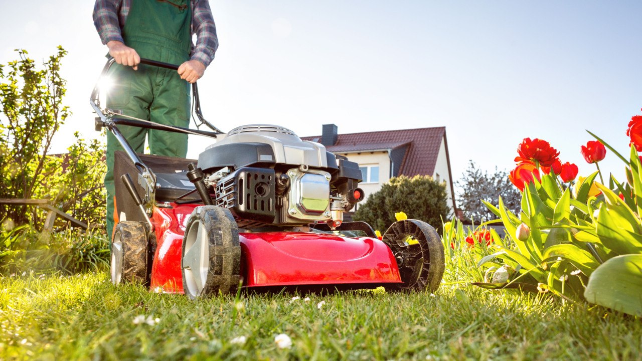 After No Mow May, Should You Do a Slow Mow Summer?